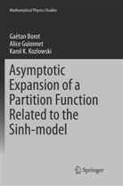 Gaëta Borot, Gaëtan Borot, Alic Guionnet, Alice Guionnet, Karol K Kozlowski, Karol K. Kozlowski - Asymptotic Expansion of a Partition Function Related to the Sinh-model