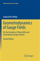 Eckehard W Mielke, Eckehard W. Mielke - Geometrodynamics of Gauge Fields