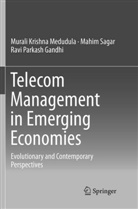 Ravi Gandhi, Ravi Parkash Gandhi, Murali Krishn Medudula, Murali Krishna Medudula, Mahi Sagar, Mahim Sagar - Telecom Management in Emerging Economies