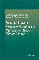 Elpida Kolokytha, Sator Oishi, Satoru Oishi, Ramesh S V Teegavarapu, Ramesh S. V. Teegavarapu, Ramesh S.V. Teegavarapu - Sustainable Water Resources Planning and Management Under Climate Change