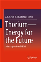 K Nayak, A K Nayak, A. K. Nayak, A.K. Nayak, Raj Sehgal, Raj Sehgal... - Thorium-Energy for the Future
