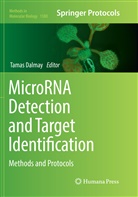 Tama Dalmay, Tamas Dalmay - MicroRNA Detection and Target Identification