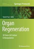 Takash Tsuji, Takashi Tsuji - Organ Regeneration