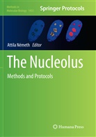 Attil Németh, Attila Németh - The Nucleolus