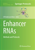 Ul Andersson Ørom, Ulf Andersson Ørom, Ulf Andersson Ørom - Enhancer RNAs