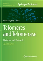 Zho Songyang, Zhou Songyang - Telomeres and Telomerase