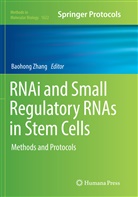 Baohon Zhang, Baohong Zhang - RNAi and Small Regulatory RNAs in Stem Cells