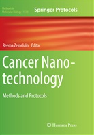Reem Zeineldin, Reema Zeineldin - Cancer Nanotechnology