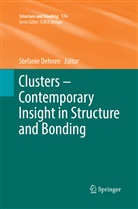 Stefani Dehnen, Stefanie Dehnen - Clusters - Contemporary Insight in Structure and Bonding