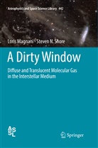 Lori Magnani, Loris Magnani, Steven N Shore, Steven N. Shore - A Dirty Window