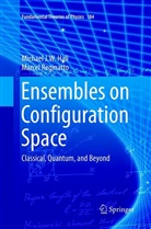 Michael J Hall, Michael J W Hall, Michael J. W. Hall, Marcel Reginatto - Ensembles on Configuration Space