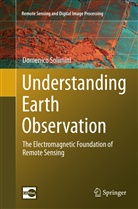 Domenico Solimini - Understanding Earth Observation