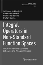 Vakhtan Kokilashvili, Vakhtang Kokilashvili, Alexande Meskhi, Alexander Meskhi, Rafeiro, Humberto Rafeiro... - Integral Operators in Non-Standard Function Spaces