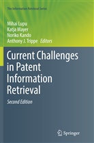 Noriko Kando, Noriko Kando et al, Mihai Lupu, Katj Mayer, Katja Mayer, Anthony J. Trippe - Current Challenges in Patent Information Retrieval