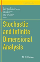Christopher C. Bernido, Maria Victoria Carpio-Bernido, José Luís da Silva, Martin Grothaus, Mar Grothaus et al, Tobias Kuna... - Stochastic and Infinite Dimensional Analysis