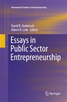 David B. Audretsch, Davi B Audretsch, David B Audretsch, Albert N. Link, N Link, N Link - Essays in Public Sector Entrepreneurship