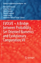 Andr Deutz, André Deutz, Michael Emmerich, Pierrick Legrand, Oliver Schütze, Oliver Schütze et al... - EVOLVE - A Bridge between Probability, Set Oriented Numerics and Evolutionary Computation VII
