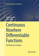 Mare Jarnicki, Marek Jarnicki, Peter Pflug - Continuous Nowhere Differentiable Functions