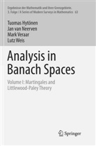 Tuoma Hytönen, Tuomas Hytönen, Jan van Neerven, Ja van Neerven, Jan van Neerven, Mark Veraar... - Analysis in Banach Spaces