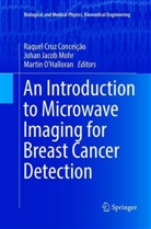Raquel Cruz Conceição, Joha Jacob Mohr, Johan Jacob Mohr, Johan Jacob Mohr, Martin O'Halloran - An Introduction to Microwave Imaging for Breast Cancer Detection