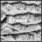 SONO - Human, 1 Audio-CD (Audio book)