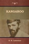 D. H. Lawrence - Kangaroo