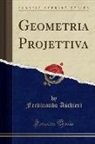 Ferdinando Aschieri - Geometria Projettiva (Classic Reprint)