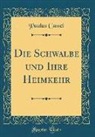 Paulus Cassel - Die Schwalbe und Ihre Heimkehr (Classic Reprint)