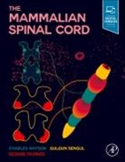 George Paxinos, George (Neuroscience Research Australia and The University of New South Wales Paxinos, Gulgun Sengul, Gulgun (Professor of Anatomy Sengul, Sengul Gulgun, Charles Watson... - The Mammalian Spinal Cord