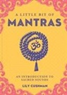 Lily Cushman - A Little Bit of Mantras
