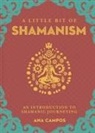 A. Campos, Ana Campos - Little Bit of Shamanism, a