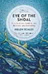 Helen Scales - Eye of the Shoal