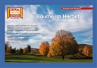 Verena Sangu - Bäume im Herbst / Kamishibai Bildkarten