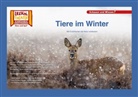 Verena Sangu - Tiere im Winter / Kamishibai Bildkarten