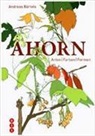 Andreas Bärtels - Ahorn