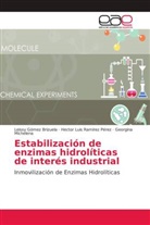 Leiss Gómez Brizuela, Leissy Gómez Brizuela, Georgina Michelena, Hector Lui Ramírez Pérez, Hector Luis Ramírez Pérez - Estabilización de enzimas hidrolíticas de interés industrial