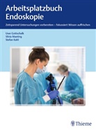 Uwe Gottschalk, Stefan Kahl, Silvi Maeting, Silvia Maeting - Arbeitsplatzbuch Endoskopie