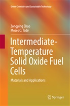 Zongpin Shao, Zongping Shao, Moses O Tadé, Moses O. Tadé - Intermediate-Temperature Solid Oxide Fuel Cells