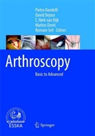 Davi Dejour, David Dejour, Matteo Denti, C. Niek van Dijk, C Niek van Dijk et al, Policlinico San Donato... - Arthroscopy