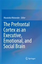 Masatak Watanabe, Masataka Watanabe - The Prefrontal Cortex as an Executive, Emotional, and Social Brain