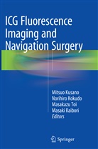 Masaki Kaibori, Norihir Kokudo, Norihiro Kokudo, Mitsuo Kusano, Masakazu Toi, Masakazu Toi et al - ICG Fluorescence Imaging and Navigation Surgery
