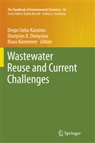 Dionysio D Dionysiou, Dionysios D Dionysiou, Dionysios D. Dionysiou, Despo Fatta-Kassinos, Klaus Kümmerer - The Handbook of Environmental Chemistry - 44: Wastewater Reuse and Current Challenges