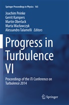 Gerri Kampers, Gerrit Kampers, Martin Oberlack, Martin Oberlack et al, Joachim Peinke, Alessandro Talamelli... - Progress in Turbulence VI