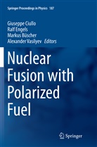 Markus Büscher, Markus Büscher et al, Giuseppe Ciullo, Ral Engels, Ralf Engels, Alexander Vasilyev - Nuclear Fusion with Polarized Fuel