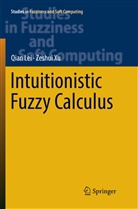 Qia Lei, Qian Lei, Zeshui Xu - Intuitionistic Fuzzy Calculus
