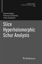 Danie Alpay, Daniel Alpay, Fabrizi Colombo, Fabrizio Colombo, Irene Sabadini - Slice Hyperholomorphic Schur Analysis