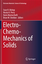 Sean R. Bishop, Nicol H Perry, Nicola H Perry, Dario Marrocchelli, Dario Marrocchelli et al, Nicola H. Perry... - Electro-Chemo-Mechanics of Solids