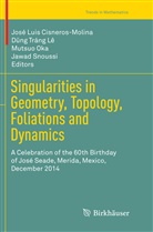 José Luis Cisneros-Molina, Mutsuo Oka, Mutsuo Oka et al, Jawad Snoussi, D ng Tráng Lê, Dng Tráng Lê... - Singularities in Geometry, Topology, Foliations and Dynamics