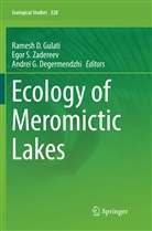 Andrei G. Degermendzhi, Andrei G Degermendzhi, Ramesh D. Gulati, Ego S Zadereev, Egor S Zadereev, Egor S. Zadereev - Ecology of Meromictic Lakes