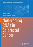 A Calin, A Calin, George A. Calin, Ondre Slaby, Ondrej Slaby - Non-coding RNAs in Colorectal Cancer